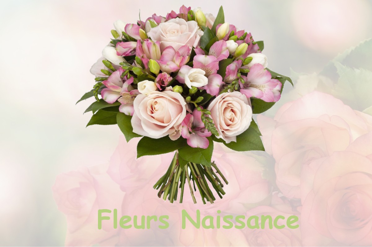 fleurs naissance MOUSSY-LE-VIEUX